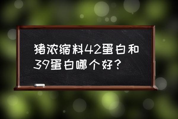 猪用浓缩饲料蛋白能误差多少 猪浓缩料42蛋白和39蛋白哪个好？