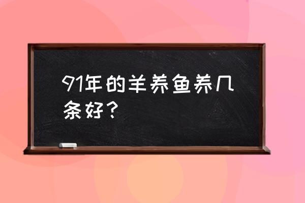 属羊的人不能养什么宠物 91年的羊养鱼养几条好？