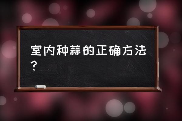 没孔的花盆能种蒜吗 室内种蒜的正确方法？