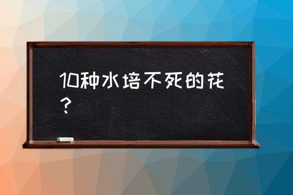 水栽花卉品种有什么好养的 10种水培不死的花？