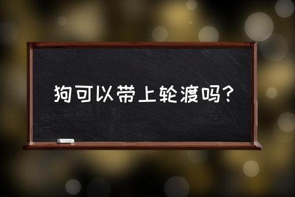 海口坐船可以带狗吗 狗可以带上轮渡吗？