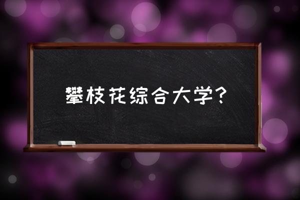 攀枝花周边城市有哪些大学 攀枝花综合大学？