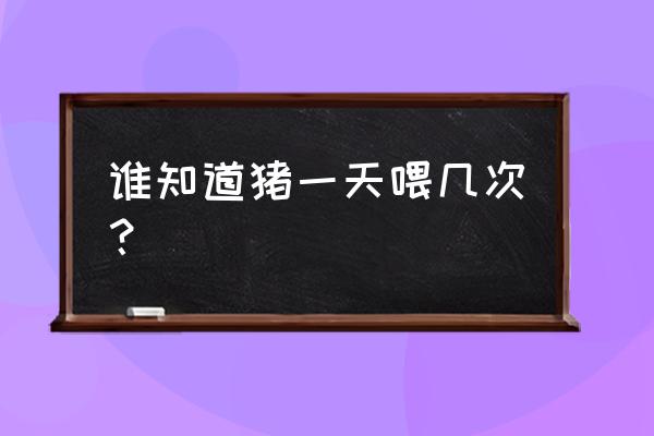 养猪多长时间喂一次 谁知道猪一天喂几次？