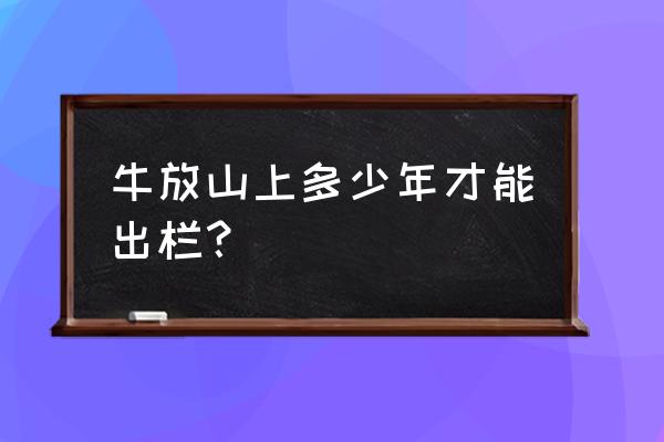 养牛多长时间可以出栏 牛放山上多少年才能出栏？