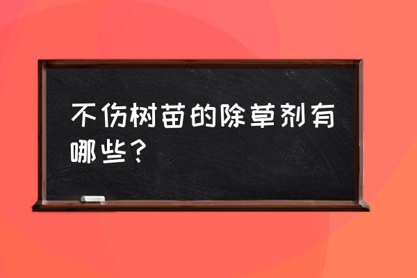 果园用什么除草剂比较安全 不伤树苗的除草剂有哪些？