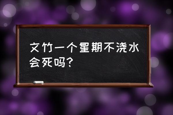 花盆文竹十天不浇水行吗 文竹一个星期不浇水会死吗？