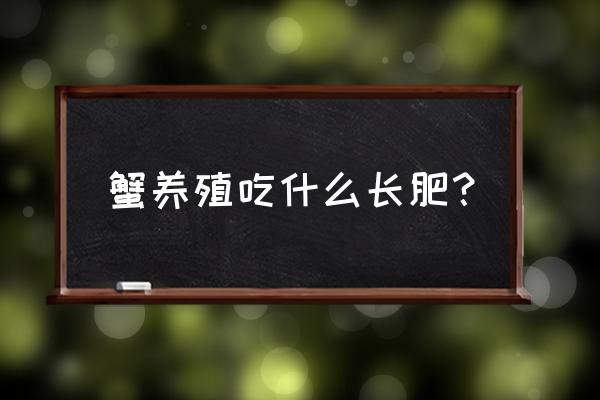 虾饲料螃蟹吃吗 蟹养殖吃什么长肥？