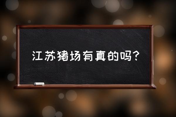 江苏省什么县养猪最多 江苏猪场有真的吗？