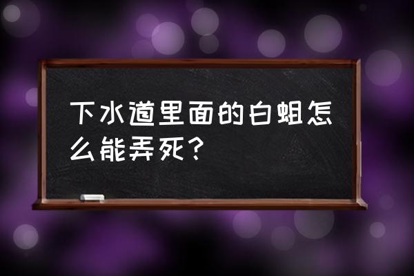 下水道杀虫剂哪种好 下水道里面的白蛆怎么能弄死？