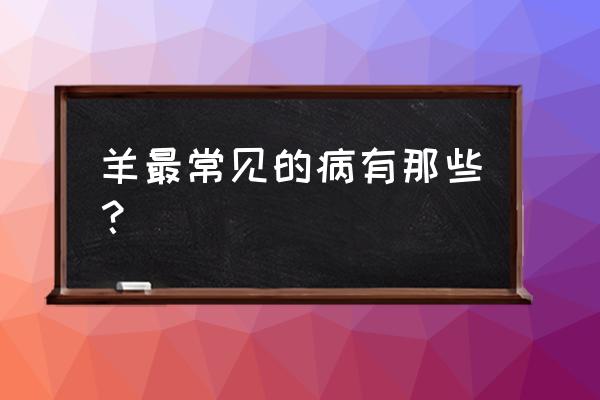 养羊生病吗 羊最常见的病有那些？