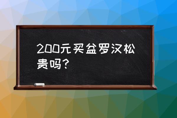 罗汉松微型盆景多少钱 200元买盆罗汉松贵吗？