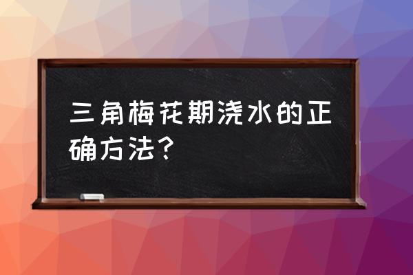 开花期的三角梅怎么浇水 三角梅花期浇水的正确方法？