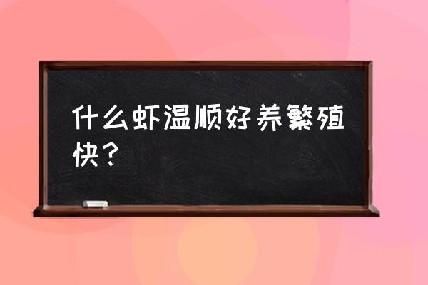 饭店什么虾好养 什么虾温顺好养繁殖快？