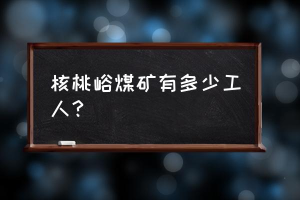 甘肃庆阳煤矿叫啥 核桃峪煤矿有多少工人？