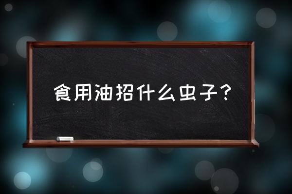 食用油有蚂蚁怎么处理 食用油招什么虫子？