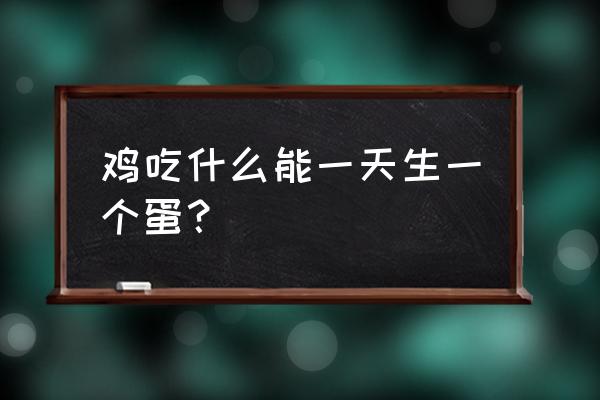 小鸡一天吃多少饲料产一颗蛋 鸡吃什么能一天生一个蛋？