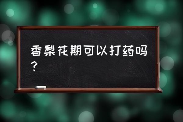 梨树初花期打杀虫剂可以吗 香梨花期可以打药吗？