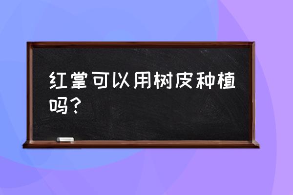 红掌花用种兰花的树皮好吗 红掌可以用树皮种植吗？