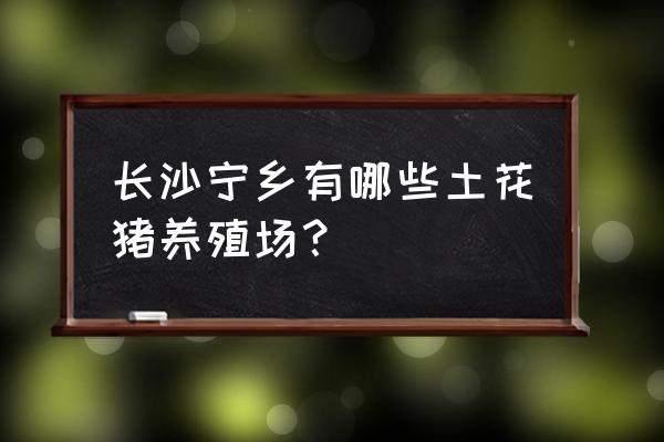 长沙有哪些母猪养殖场 长沙宁乡有哪些土花猪养殖场？