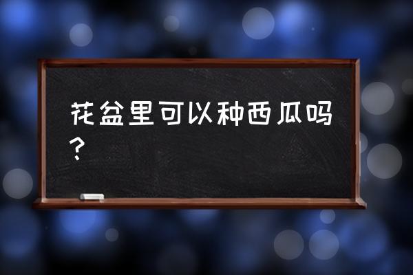 花盆里能种西瓜吗 花盆里可以种西瓜吗？