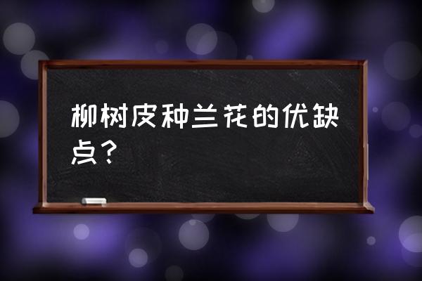 柳树皮做兰花盆面可以吗 柳树皮种兰花的优缺点？