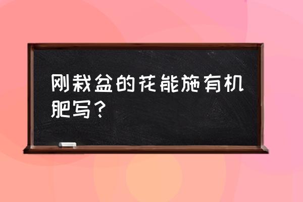 盆裁花卉如何施有机肥 刚栽盆的花能施有机肥写？