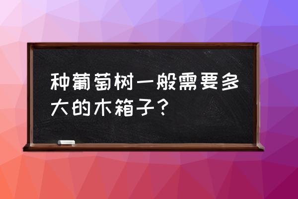 花箱栽植灌木需多大规格 种葡萄树一般需要多大的木箱子？