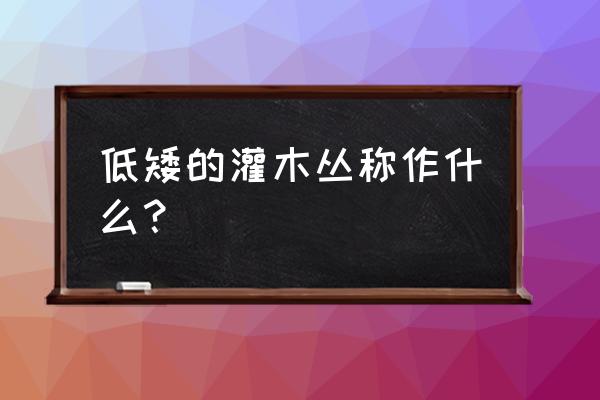 灌木丛是指什么 低矮的灌木丛称作什么？