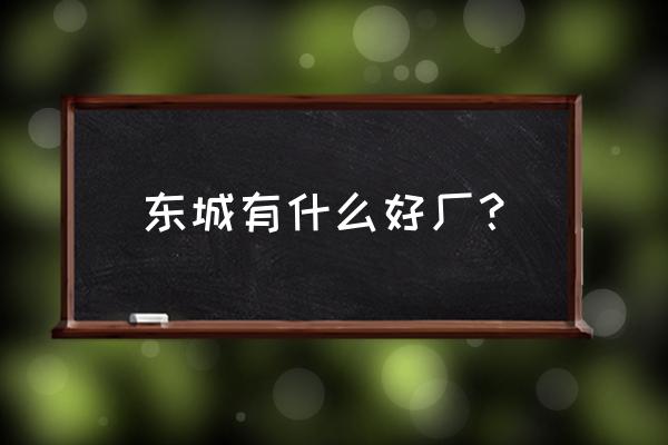 保山东城有些什么厂 东城有什么好厂？