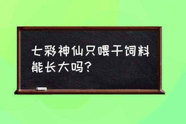 鱼只喂饲料能长大吗 七彩神仙只喂干饲料能长大吗？