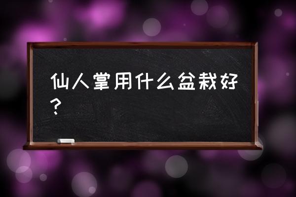 仙人掌用哪种花盆好 仙人掌用什么盆栽好？