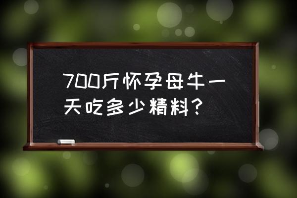 怀揣母牛冬季饲料如何搭配 700斤怀孕母牛一天吃多少精料？