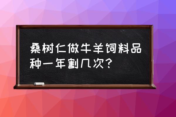 饲料桑叶多少钱一斤 桑树仁做牛羊饲料品种一年割几次？