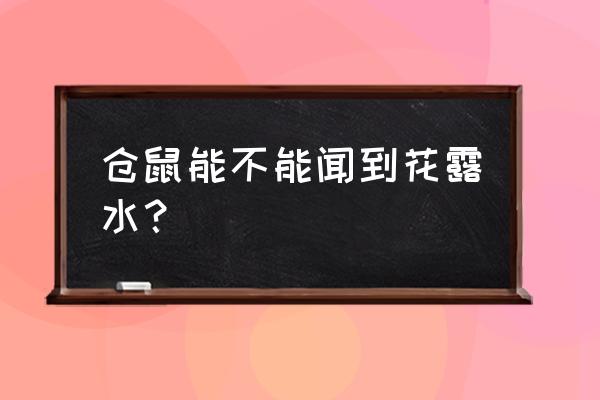 花露水对仓鼠有害吗 仓鼠能不能闻到花露水？