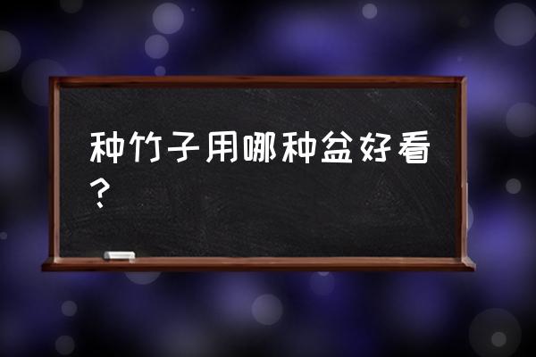 什么样的花盆养竹子 种竹子用哪种盆好看？