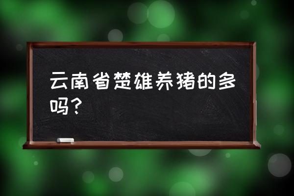 云南省哪里养猪的多 云南省楚雄养猪的多吗？