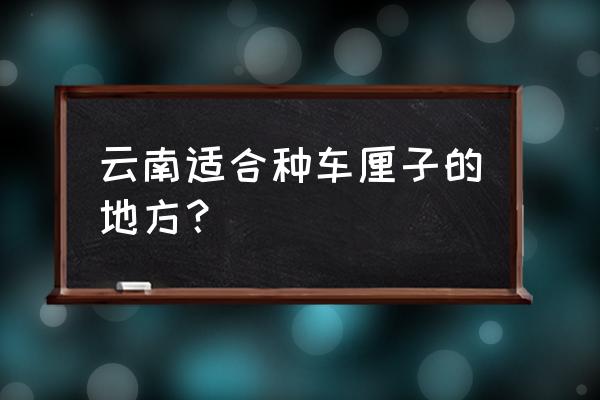 昭通哪些地方有种车厘子 云南适合种车厘子的地方？