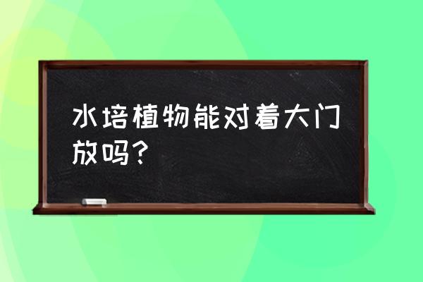 进门摆放水培植物好吗 水培植物能对着大门放吗？