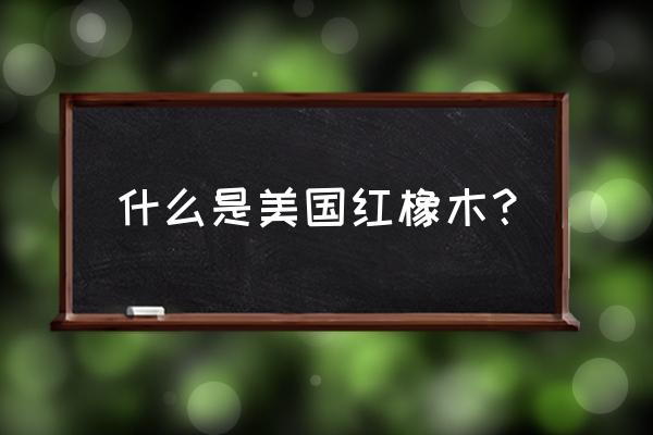 美国红橡具体是啥木材 什么是美国红橡木？