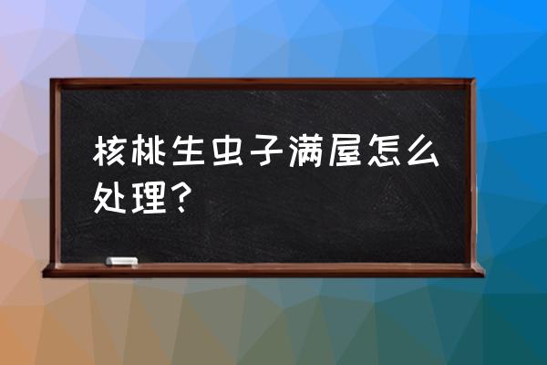 核桃里面长虫子怎么办 核桃生虫子满屋怎么处理？