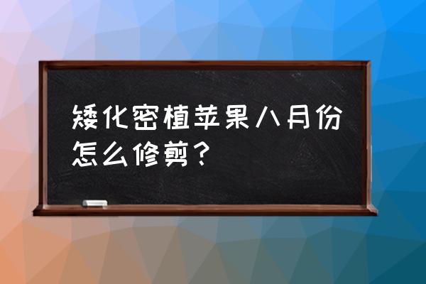 矮化苹果树怎么修剪 矮化密植苹果八月份怎么修剪？