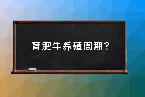 养牛育肥得多长时间 育肥牛养殖周期？