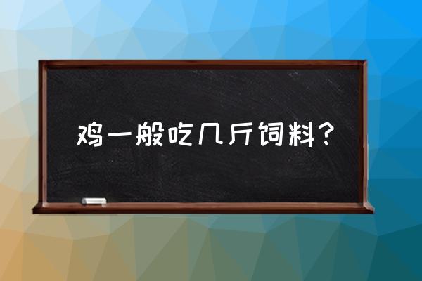 一只土鸡出栏需要多少饲料 鸡一般吃几斤饲料？