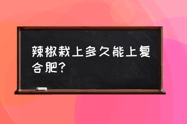 辣椒苗栽多长时间可以施肥复合肥 辣椒栽上多久能上复合肥？