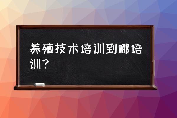 香猪养殖技术在哪里学 养殖技术培训到哪培训？