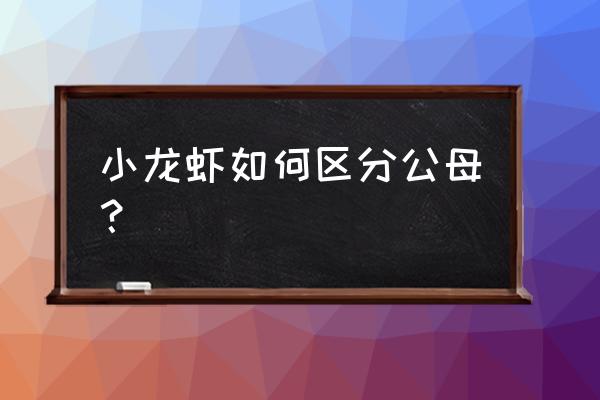 小龙虾怎样分辨公母 小龙虾如何区分公母？