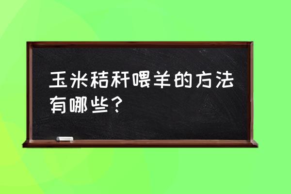 玉米杆可以养羊吗 玉米秸秆喂羊的方法有哪些？