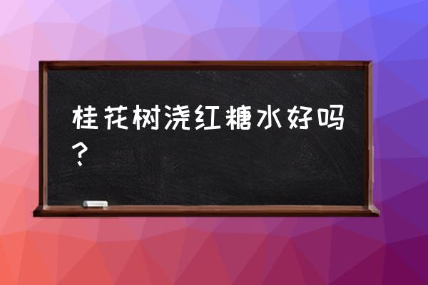 红糖水是花卉的叶面肥吗 桂花树浇红糖水好吗？