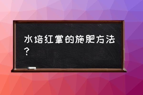 水培红掌可以将氮肥撒入水中吗 水培红掌的施肥方法？