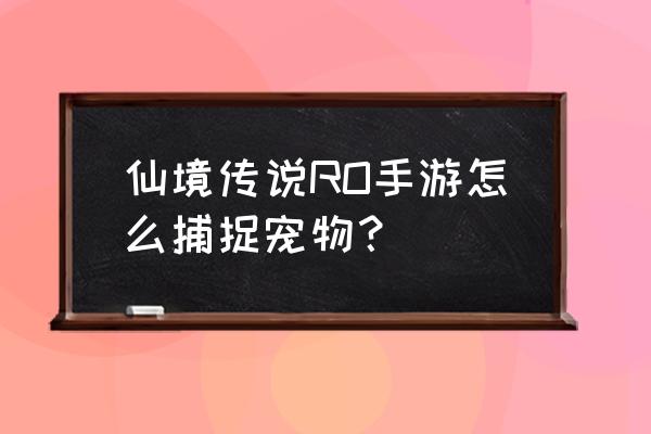 仙境传说捕捉宠物要几个道具 仙境传说RO手游怎么捕捉宠物？